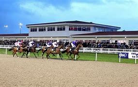 Image result for Chelmsford Racecourse