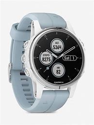 Image result for Garmin Fenix 5S Plus Smartwatch