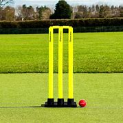 Image result for Stumps in Cricket