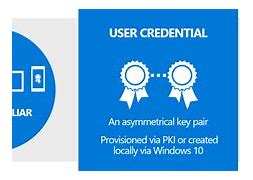 Image result for Forgot Microsoft Pin