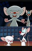 Image result for Pinky and Brain Blank Meme