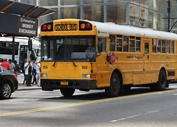 Image result for New York School Buses
