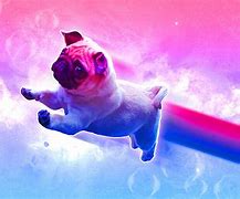 Image result for Pug Galaxy Wallpaper