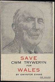Image result for Tryweryn Posters