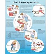 Image result for Basic Life Support CPR