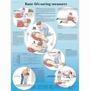 Image result for CPR Basic Life Support Book