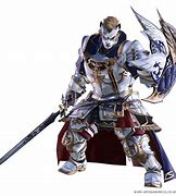 Image result for Paladin Artifact Armor FFXIV
