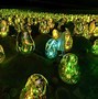 Image result for Light Exhibition