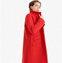 Image result for Nancy Pelosi Coat