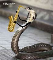 Image result for Snake Convention Meme