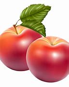 Image result for Red Apple Fruit