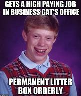 Image result for Business Black Cat Meme