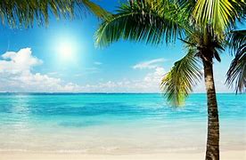 Image result for Hot Summer Beaches Vacation