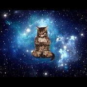 Image result for Galaxy Cat and Bread