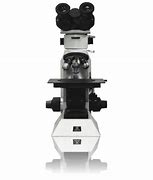 Image result for High Power Microscope