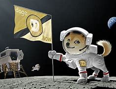 Image result for Space Doge Meme