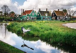Image result for Zaanstad Village Netherlands