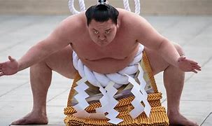 Image result for Hand Some Sumo Wrestler