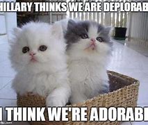 Image result for Basket of Deplorables Meme