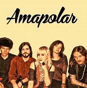 Image result for amapolar