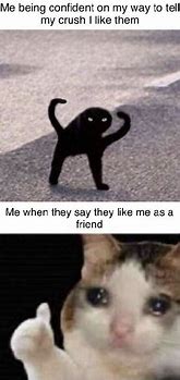 Image result for On the Way Cat Meme