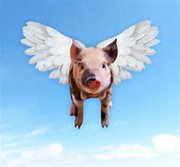 Image result for Flying Pig with Wings