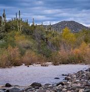 Image result for Black Canyon City, Az