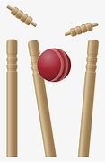 Image result for Cricket Bat Ball Stumps