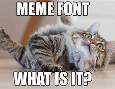 Image result for Large Font Meme