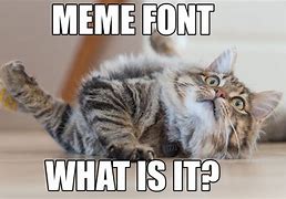 Image result for One More Word About Meme