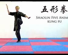 Image result for Five Animal Kung Fu Shaolin