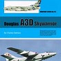 Image result for A3D Skywarrior Profiles