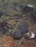 Image result for Titanic Dead Bodies Found