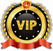 Image result for VIP Pin Phone
