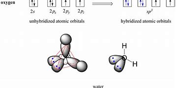 Image result for How to Determine SP2 SP3