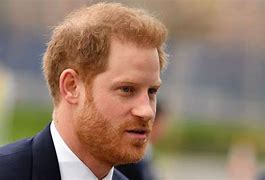 Image result for Prince Harry at Conference
