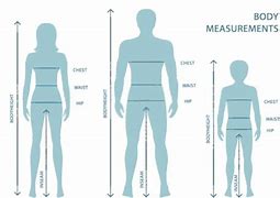 Image result for Accurate Body Measurements