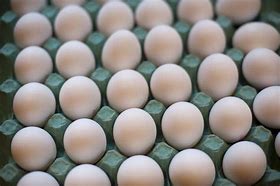 Image result for Egg Packaging