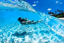 Image result for Swimming Int He Ocean