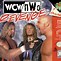 Image result for WCW/NWO Revenge