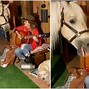 Image result for Funny Horse with Long Hair