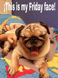Image result for Happy Friday Dog Meme