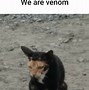 Image result for Marvel Venom Memes