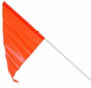 Image result for Orange Pin Flags