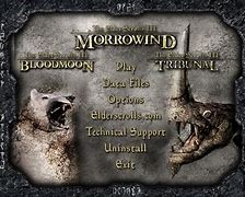 Image result for Morrowind Controls