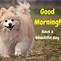 Image result for Good Morning Funny Animal Memes