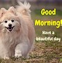 Image result for Good Morning Meme Have Fun