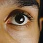 Image result for A Human Eye