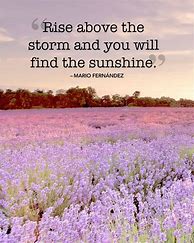 Image result for Inspiring Summer Quotes
