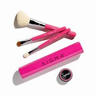 Image result for Sigma Beauty Brush Set